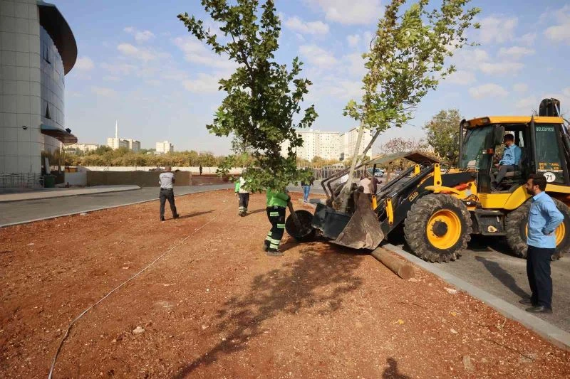 Çocuk hastanesinin çevresi yeşilleniyor
