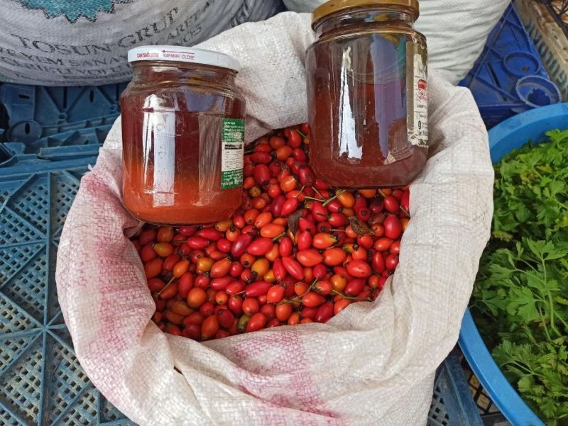Bağışıklığı kuvvetlendiren şifalı ilacı kuşburnu pazar tezgahlarında
