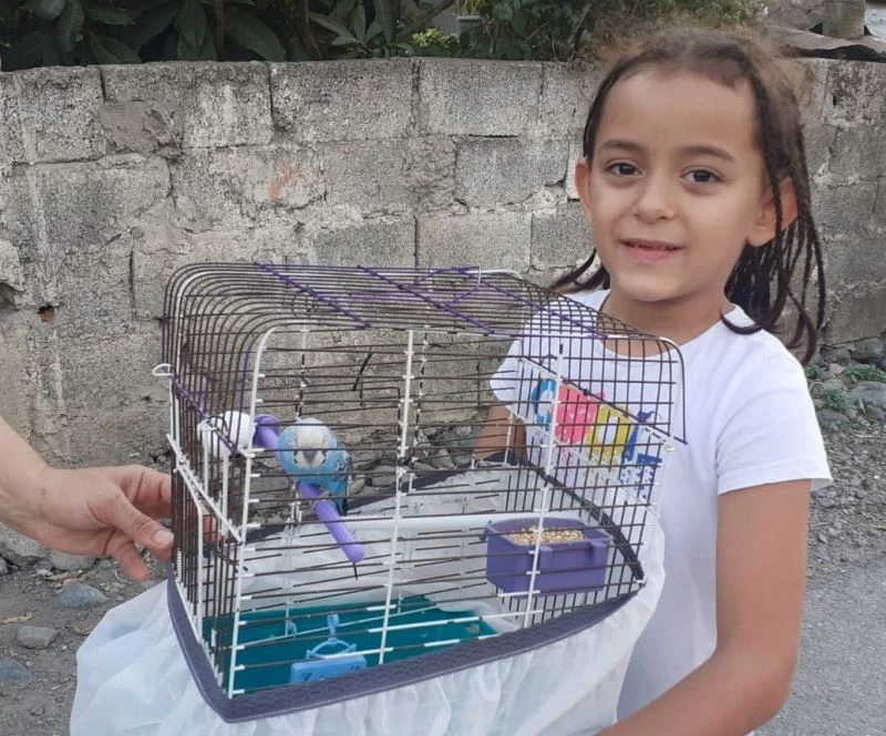 İtfaiyeciler kafesinden kaçan muhabbet kuşu için seferber oldu

