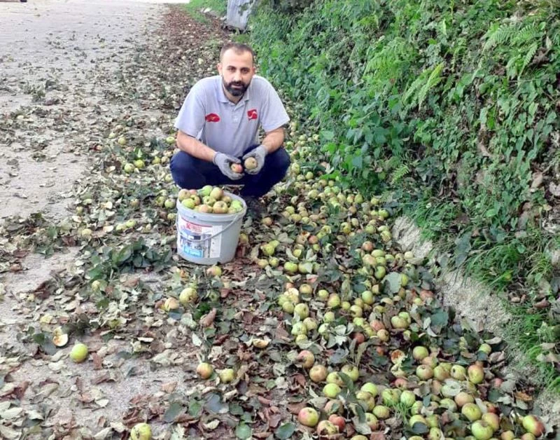 Organik elmalar pekmeze dönüşüyor
