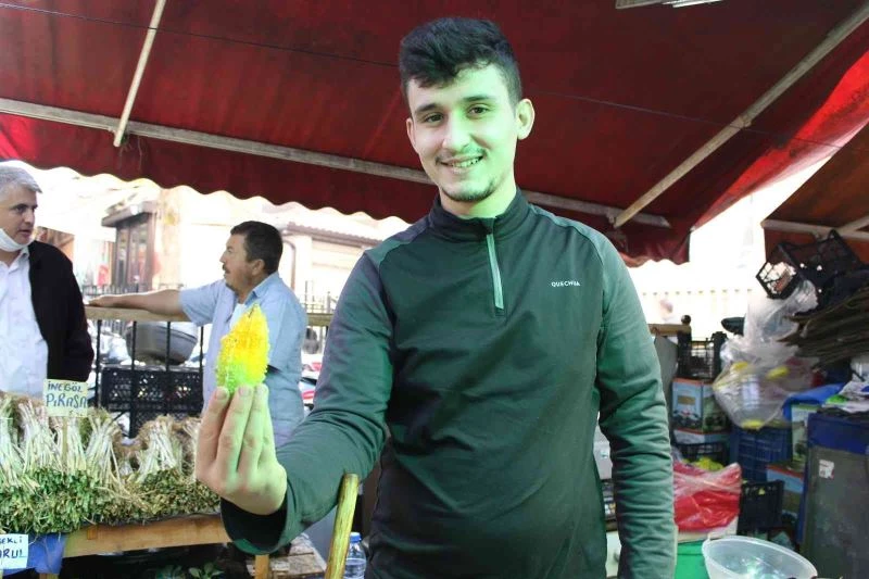 (Özel) Yaraları iyileştiren böyle ’kudret’li ilaç yok
