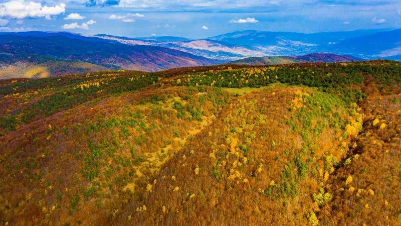 Topçam dağında hazan mevsimi
