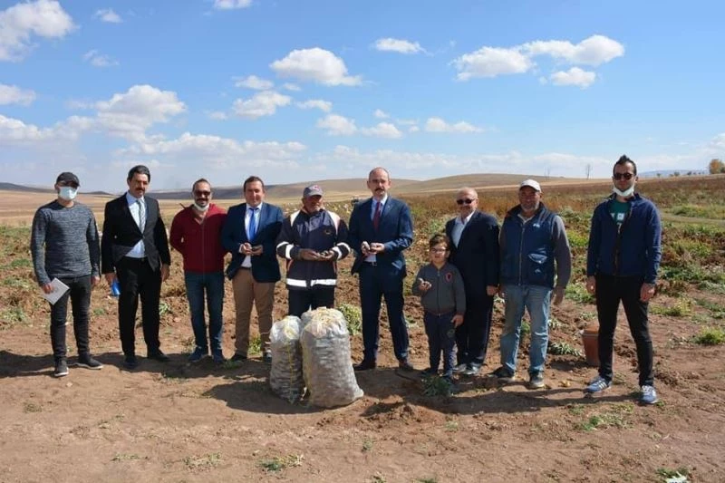 Mor şifa topraktan çıkartıldı
