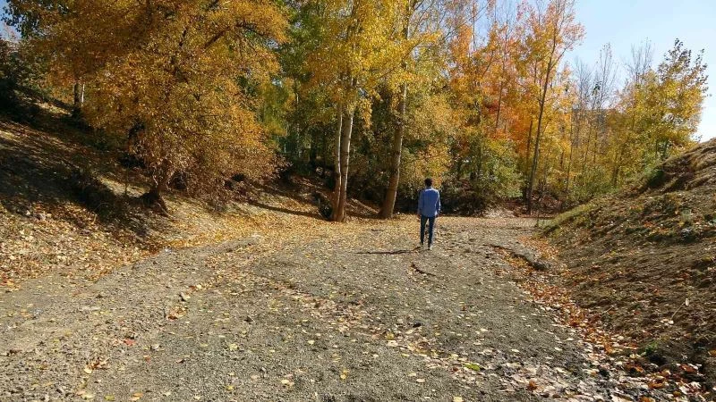 İlkbaharda gürül gürül akan dere yatağı şimdi yol olarak kullanılıyor
