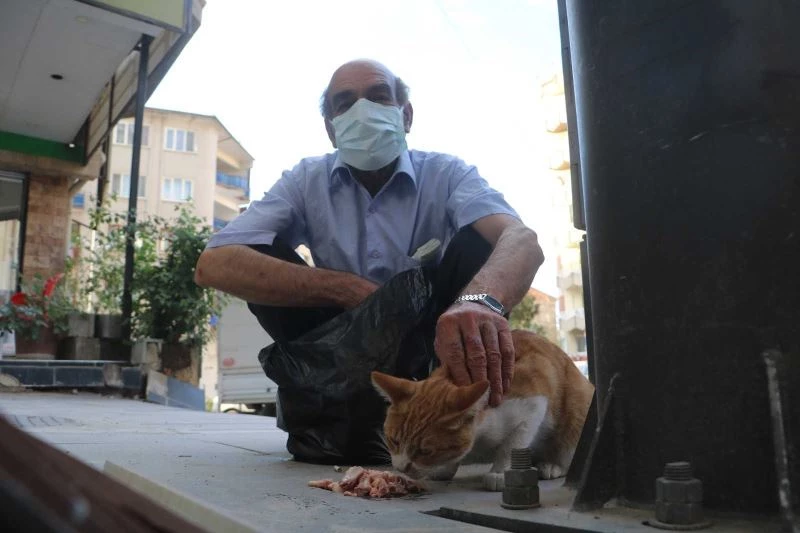 Emekli maaşıyla 200 kediyi besliyor
