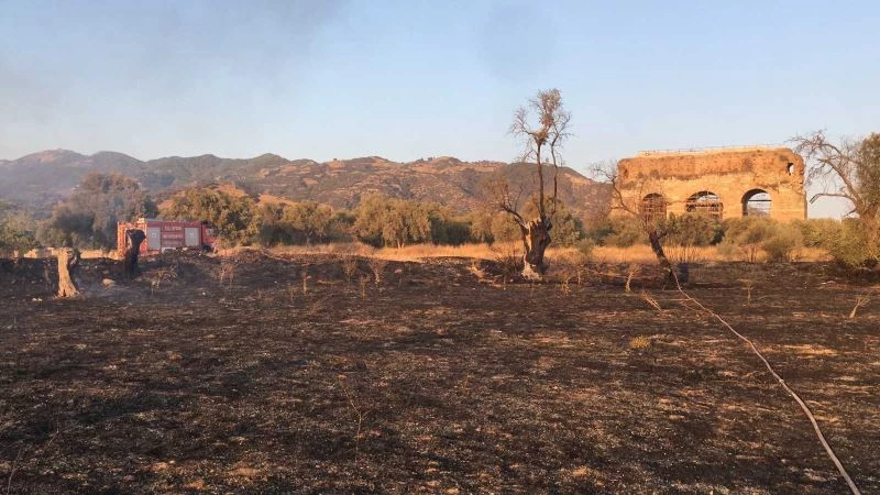 Alevler antik kente ulaşmadan söndürüldü
