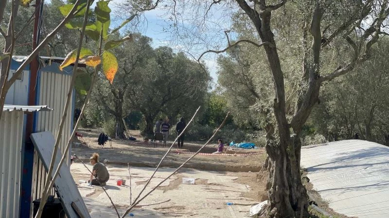 İznik’te sit alanı ilan edilen zeytinlikte lahit bulundu
