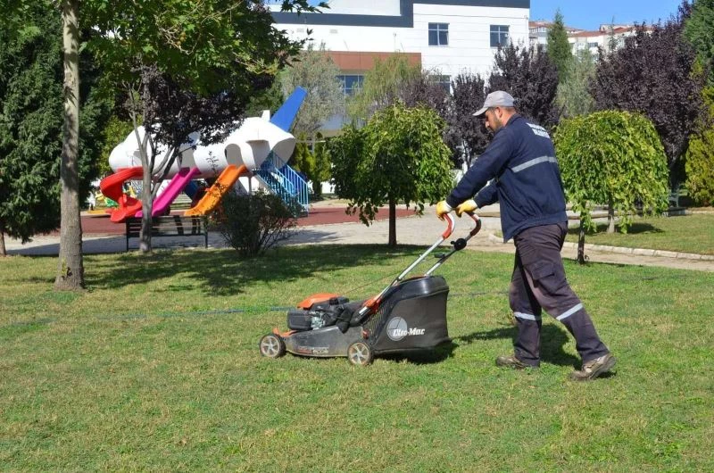 Yeşil alanların temizlik ve bakım çalışmaları

