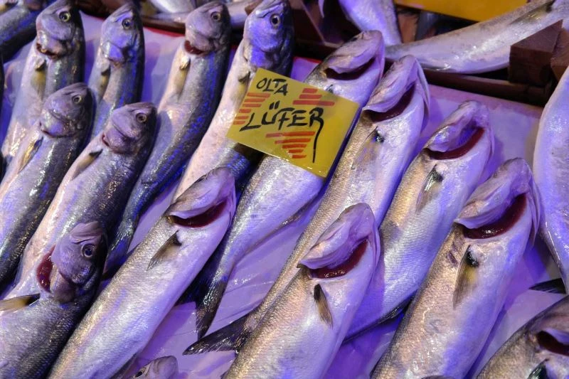 Bollaşan lüferin fiyatı 35 TL’ye düştü
