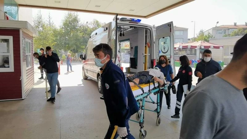 Ceviz ağacından düşen yaşlı adam ağır yaralandı
