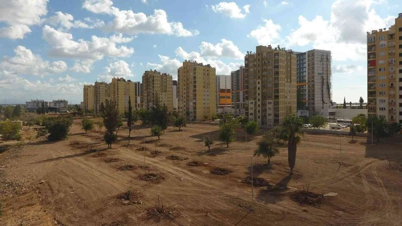 Ay Deresi yemyeşil vadiye dönüşecek
