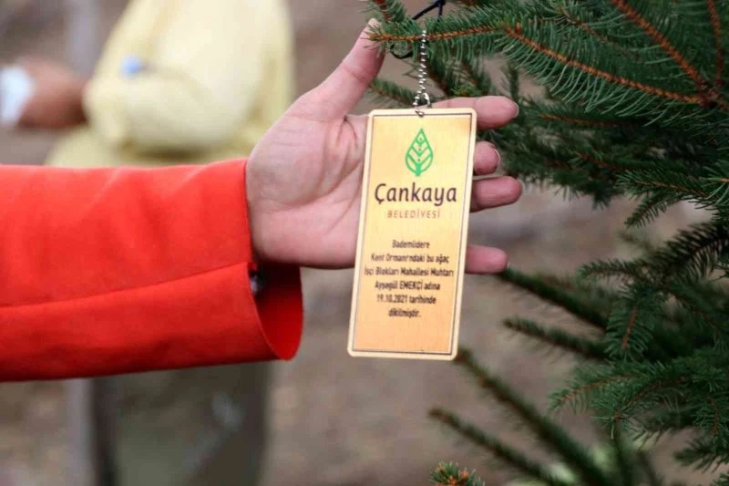 Muhtarlar Bademlidere’ye fidan dikti
