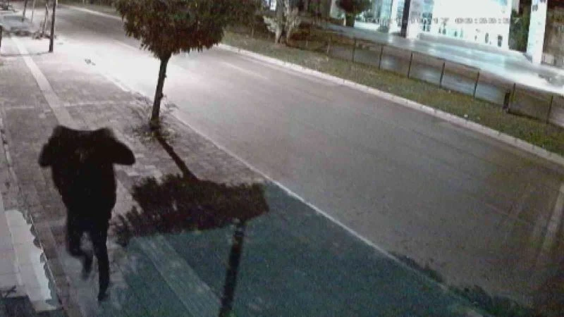 Hırsızlık şüphelisinin acemi provası marketçiyi bile güldürdü
