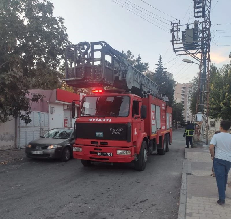 Direğin tepesinde mahsur kalan kedi kurtarıldı
