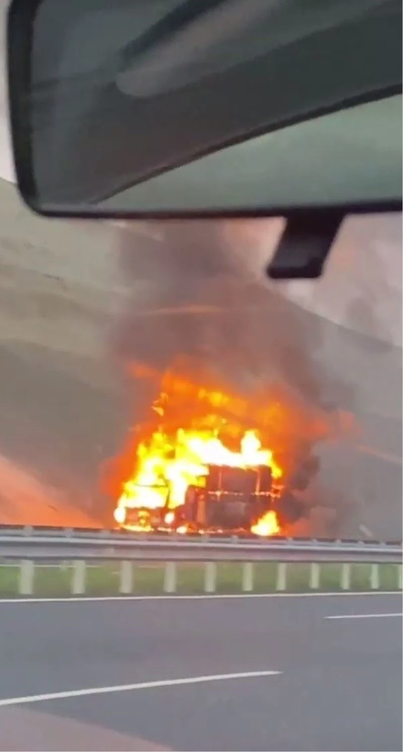 İstanbul Havalimanı yolunda karton yüklü kamyonet alev alev yandı
