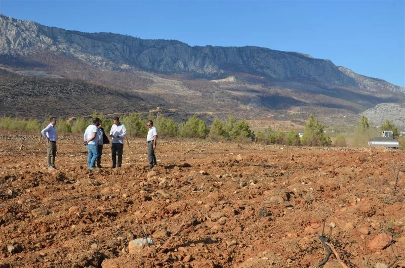 Yanan sahalarda fidan dikim hazırlıkları
