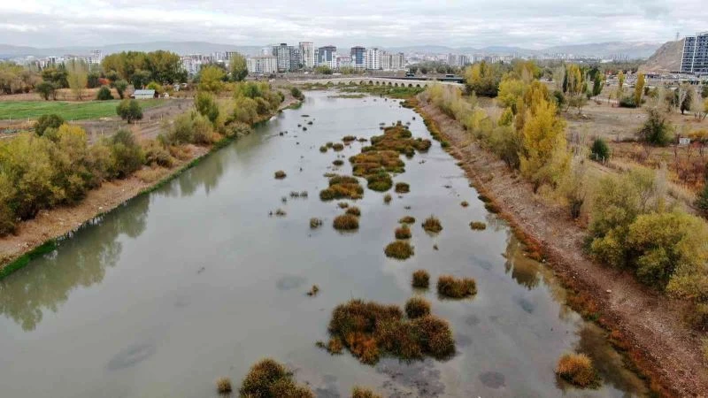 Kızılırmak otlağa dönüştü
