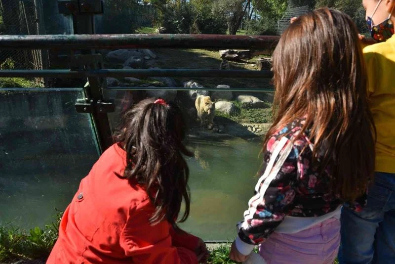 Hayvanat Bahçesi’nin özel konukları
