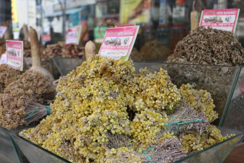 Sonbahar geldi, alerjik hastalıklar çoğaldı, bitki çaylarına rağbet arttı
