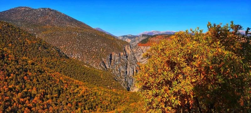 Hançer Kanyonunda sonbahar şöleni
