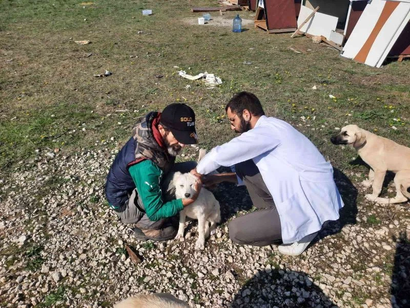 360 sokak hayvanının aşıları yapıldı
