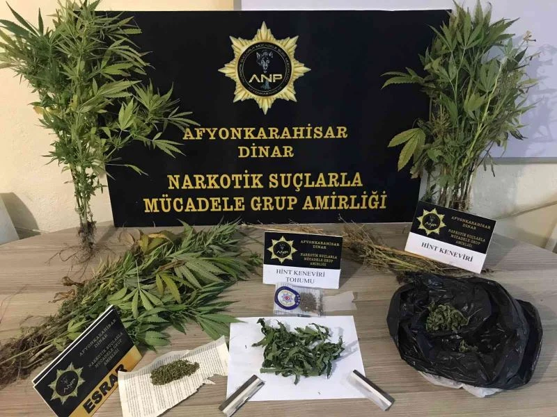 Polis eve yaptığı baskında kenevir ve esrar ele geçirdi
