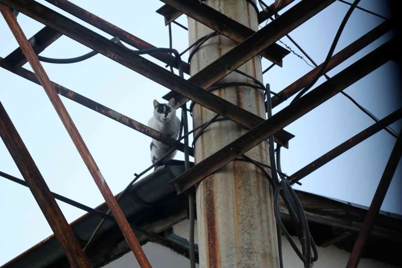 5 gün çatıda yardım bekledi, itfaiyeyi görünce ortadan kayboldu
