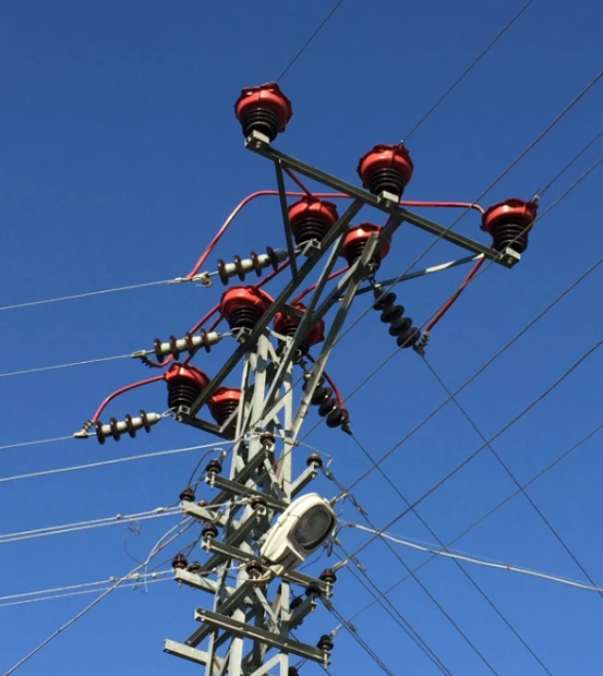 Toroslar EDAŞ’ın yalıtımlı hatlarında kanatlar hayata çırpıyor