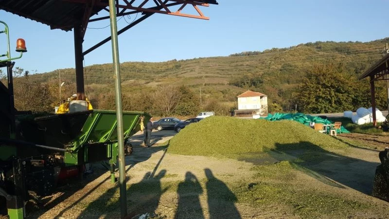 Çataklı, tarımsal işletmeleri inceledi
