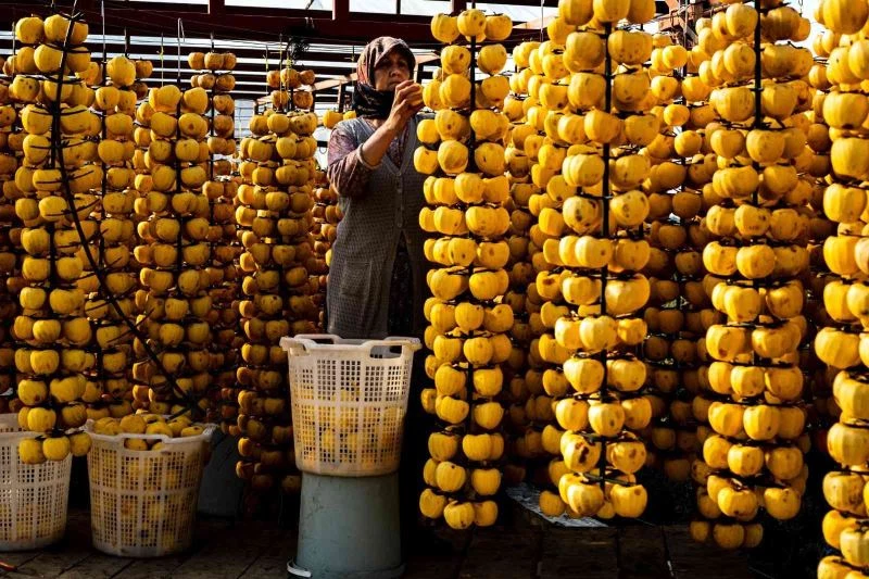 Cennet elması bir mahallenin geçim kaynağı oldu
