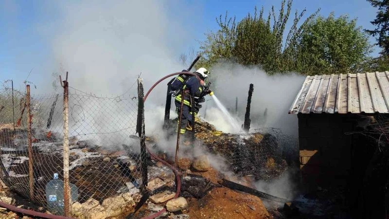 Antalya’da saman dolu ağılda yangın: 15 koyun telef oldu
