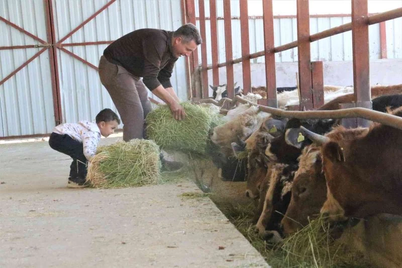 ‘Hayal bile edemezdik’ diyen muhtar, TKDK’dan aldığı destek ile köyünü tavuk ve besi çiftliğine döndürdü
