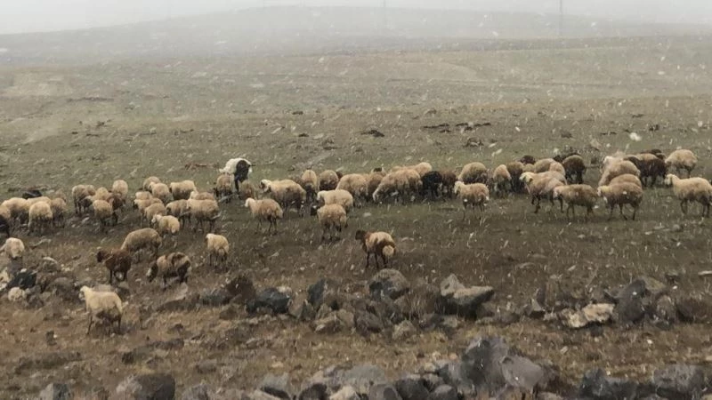 Metroloji günler önce uyarmıştı
