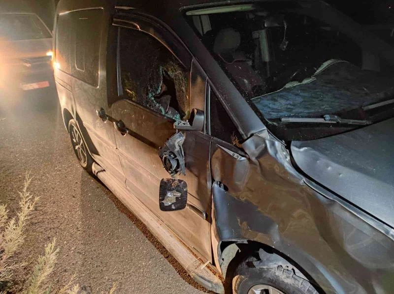 Batman’da gece karanlığında ana yola çıkan inek faciaya neden oluyordu
