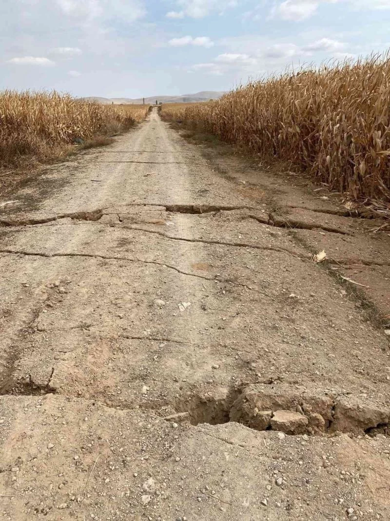 Karaman’da tarla yolunda oluşan yarıklar korkuttu
