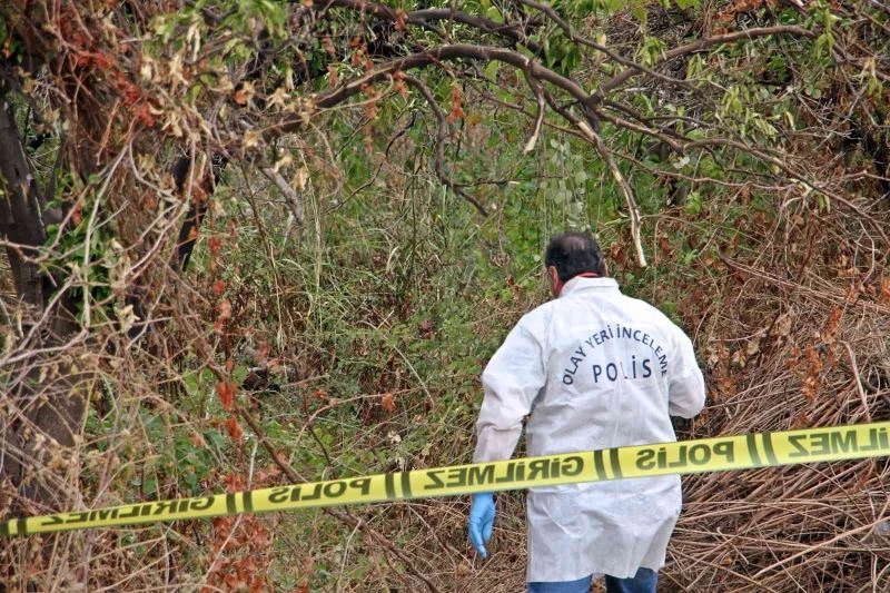 Portakal bahçesindeki ölüm, Rusça yazılan mesajın Türkçe çevirisiyle ortaya çıktı
