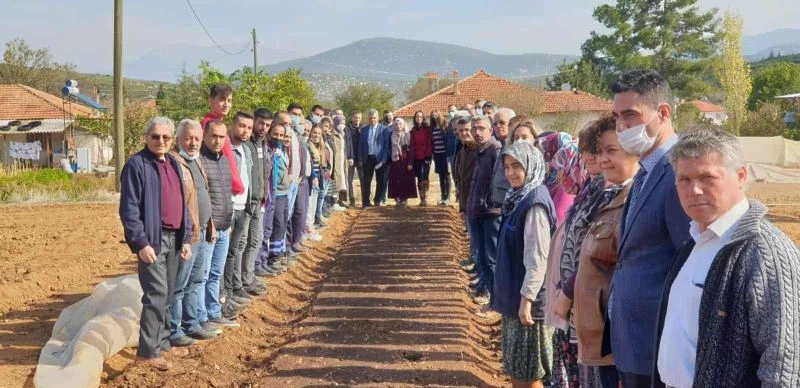 Denizli kekiği Barza toprakları ile buluşuyor
