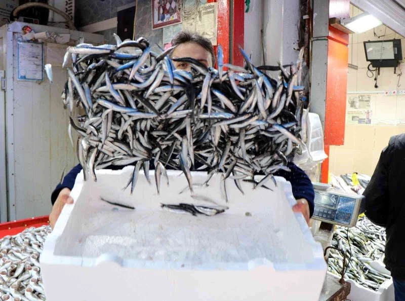 Karadeniz’in en ucuz balığı 7 TL, en pahalısı 150 TL
