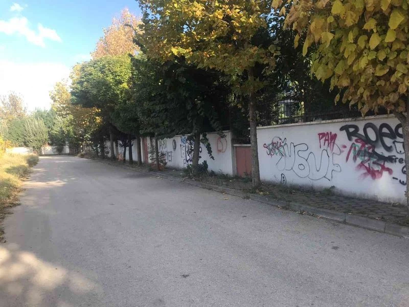 Bazı site duvarları ve elektrik trafoları karalama defterine döndü
