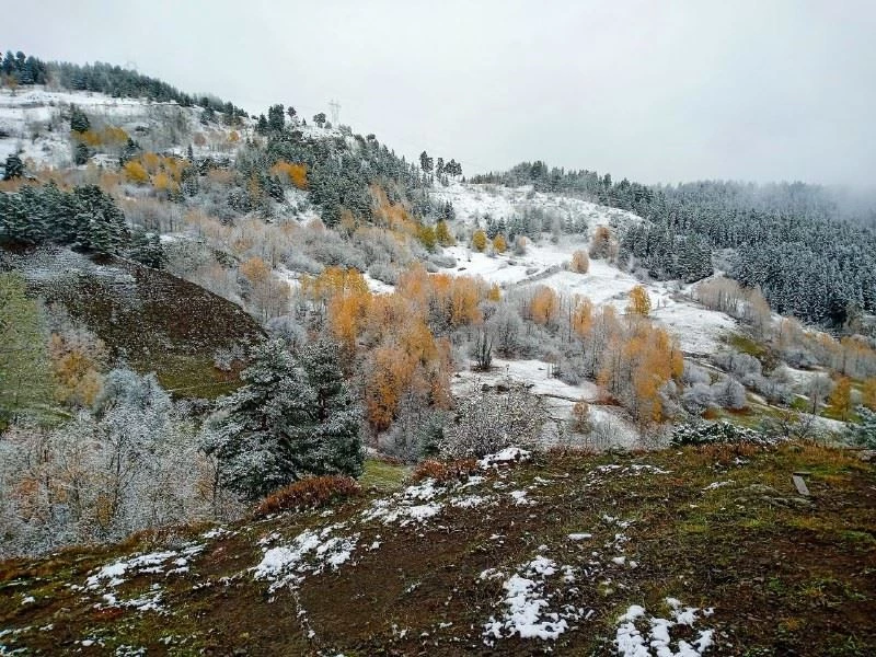 Sakin şehir Şavşat’ta sonbahar manzaraları yerini kışa bıraktı
