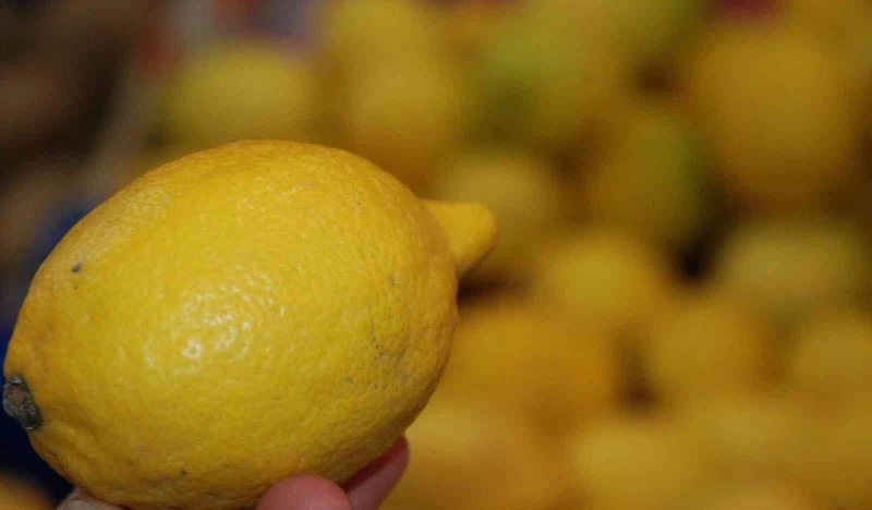 Soğuk algınlığına karşı limon
