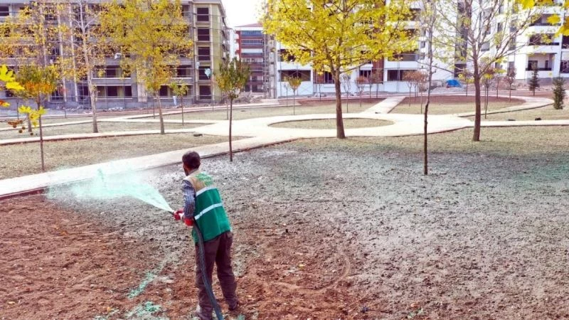 Elazığ Belediyesinden soğuğa dayanıklı yeşillendirme çalışmaları
