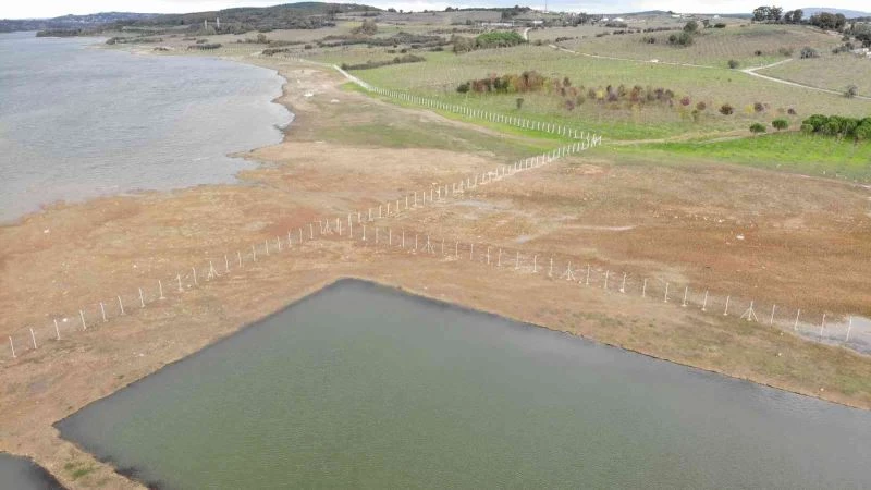 Ömerli Barajı’nda tellere takılıp telef olan hayvanlar suların çekilmesi ile görüldü
