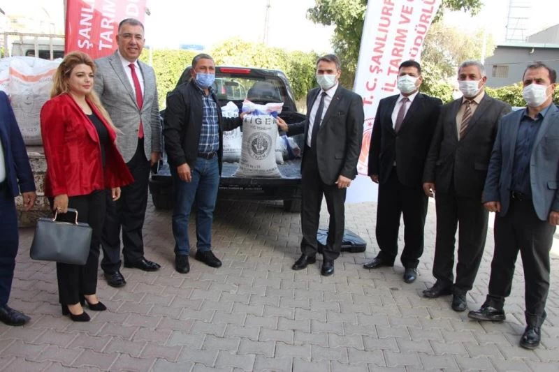 Şanlıurfalı üreticilere yüzde 75 hibe destekli tohumluk dağıtıldı
