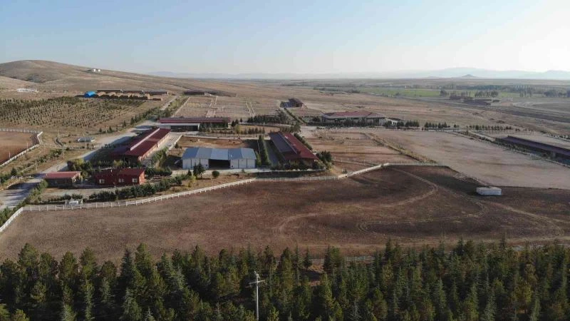 Mahmudiyeli atçılar idman merkezinin aktif hale getirilmesini istiyor
