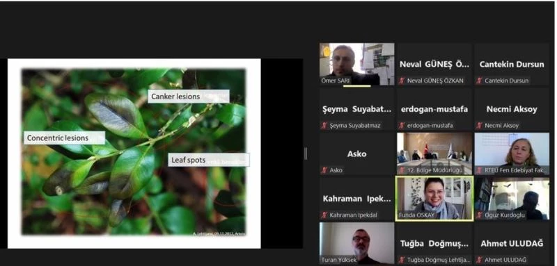 RTEÜ’de 1. Uluslararası Şimşir Çalıştayı gerçekleştirildi
