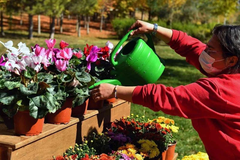 ANFA Bitki Evi üçüncü şubesini 30 Ağustos Zafer Parkı’nda açtı
