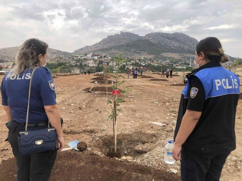 Kozanlı 69 şehidin adına harnup fidanı dikildi
