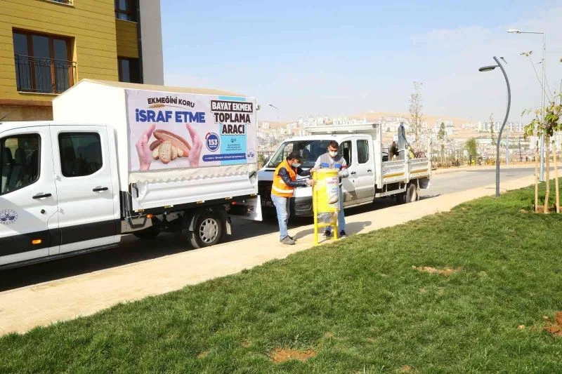Elazığ’da bayat ekmek ve artık yemekler mamaya dönüşüyor
