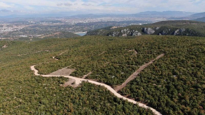 Bu proje ile binlerce sokak hayvanı  tedavi edilip, barınmaları sağlanacak